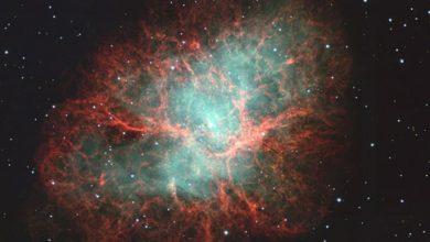 Yengeç Bulutsusu (The Crab Nebula)