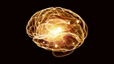“Kimyasal Pasaportlar” Alzheimer İlaçlarının Beyne Girmesine Olanak Sağlıyor