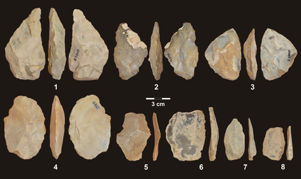 Orta Doğu Avrupa'nın En Eski Neandertal DNA'sı Bulundu