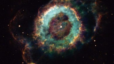 Hayat Bir Yıldızın Ölümünden Sağ Çıkabilir mi? Webb Teleskobu Keşfedecek!