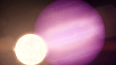 NASA Beyaz Cüce Yıldızıyla Karşılaşıp Hayatta Kalabilen Bir Gezegen Keşfetti
