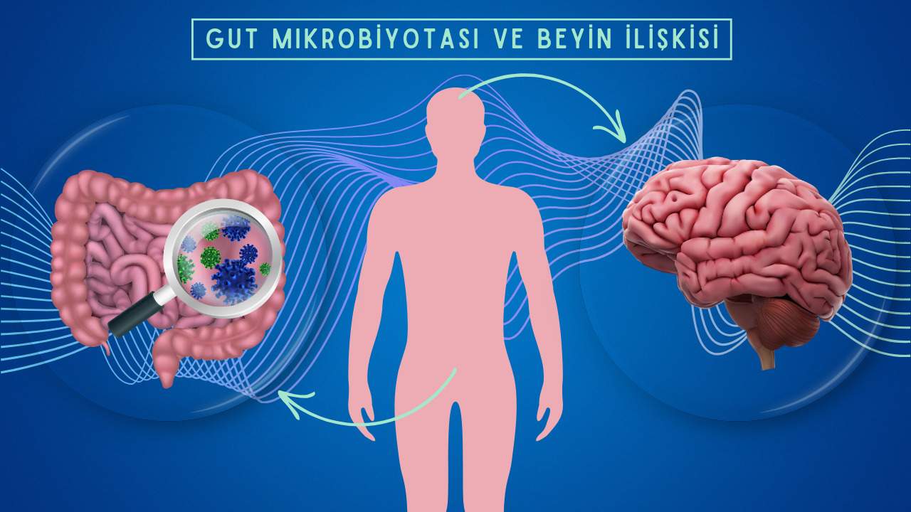 Moleküler İletişim: Gut Mikrobiyotası ve Beyin