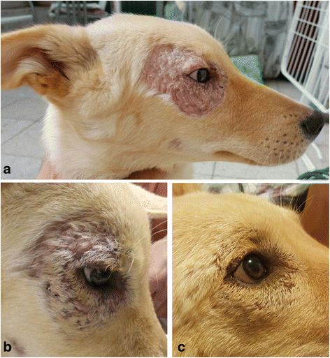 Leishmania